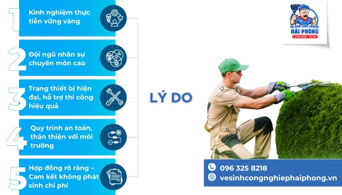 CAT-TIA-HANG-RAO-TAI-HAI-PHONG-1