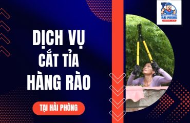 CAT-TIA-HANG-RAO-TAI-HAI-PHONG