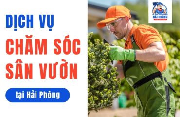 CHAM-SOC-SAN-VUON-TAI-HAI-PHONG