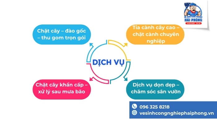 CHAT-CAY-TAI-HAI-PHONG-1