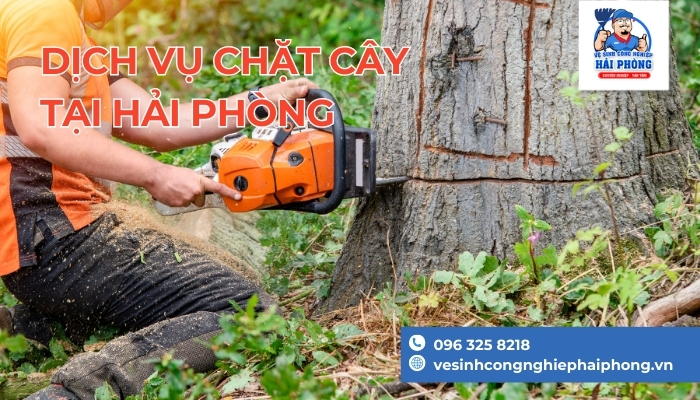 Chat-cay-xanh