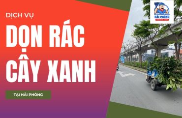 DON-RAC-CAY-XANH
