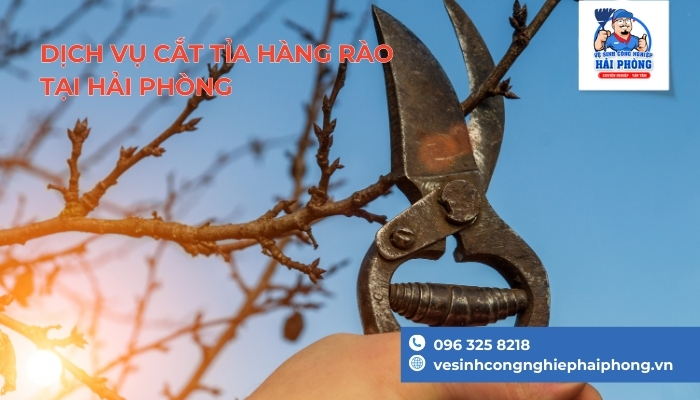 May-cat-tia-hang-rao-1