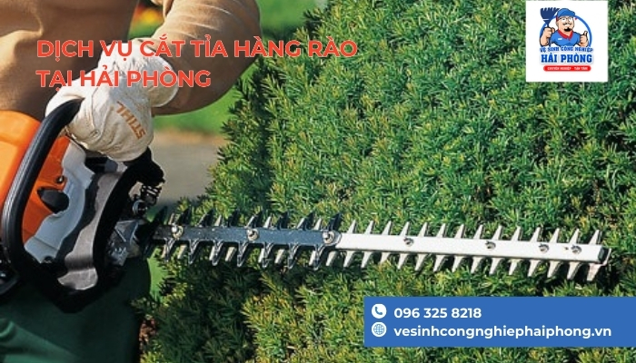 May-cat-tia-hang-rao