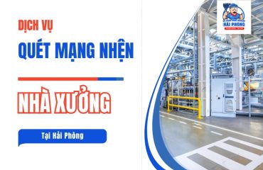 QUET-MANG-NHEN-NHA-XUONG