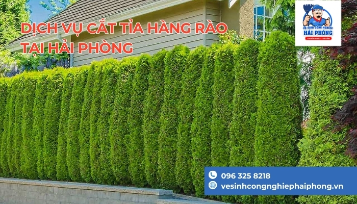 hang-rao-luoi-thep-tai-hai-phong