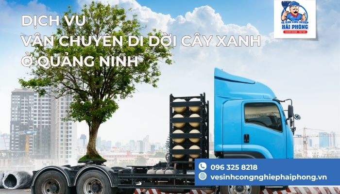 Dich-Vu-Van-Chuyen-Di-Doi-Cay-Xanh-o-Quang-Ninh