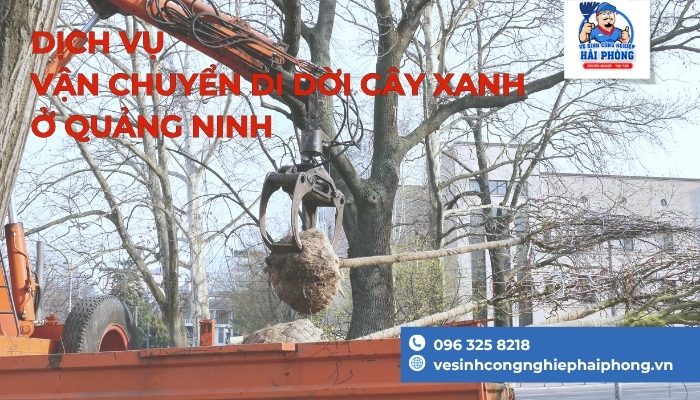 Dich-Vu-Van-Chuyen-Di-Doi-Cay-Xanh-o-Quang-Ninh
