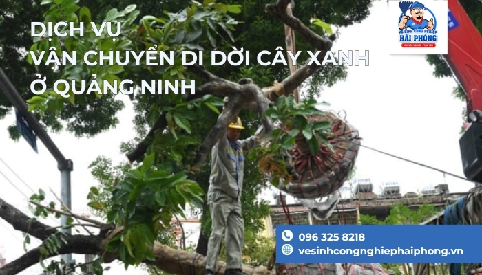 Dich-Vu-Van-Chuyen-Di-Doi-Cay-Xanh-o-quang-ninh