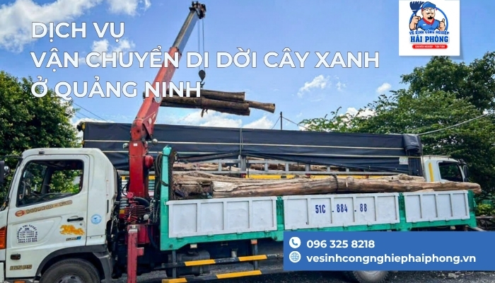 Dich-Vu-Van-Chuyen-Di-Doi-Cay-Xanh-o-Quang-Ninh
