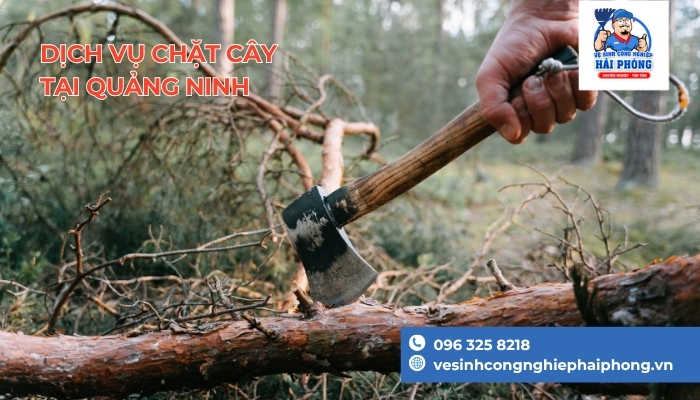 chat-ha-cay-xanh-chuyen-nghiep