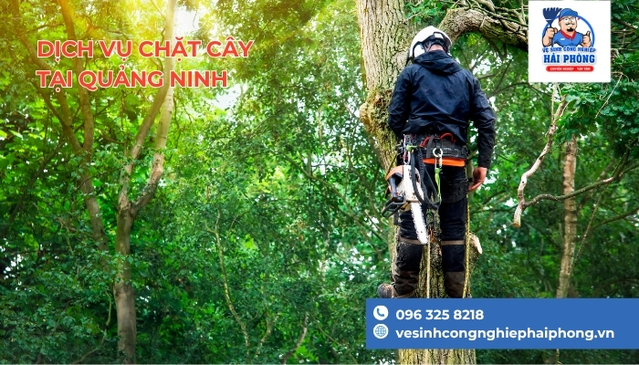 cong-ty-chat-cay-Ha-Long