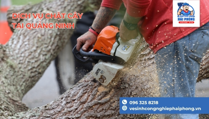 dich-vu-chat-cay-Quang-Ninh