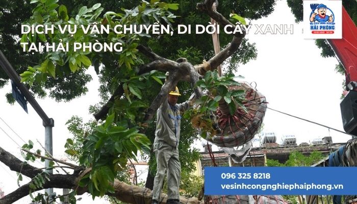 Dich-Vu-van-chuyen-di-doi-cay-xanh-tai-Hai-Phong