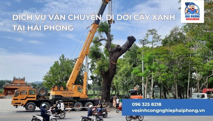 Dich-Vu-van-chuyen-di-doi-cay-xanh-tai-Hai-Phong