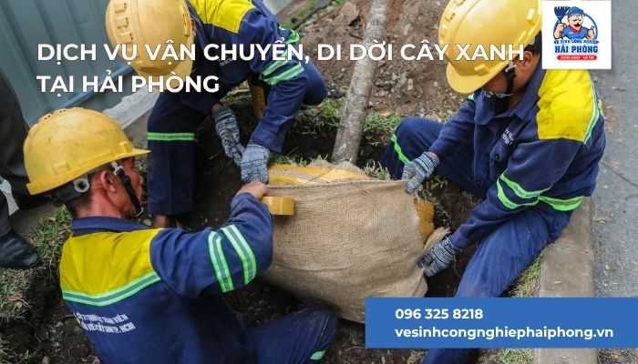 Dich-Vu-van-chuyen-di-doi-cay-xanh-tai-Hai-Phong