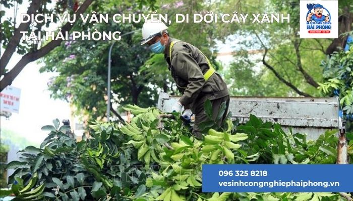 Dịch Vụ vận chuyển, di dời cây xanh tại Hải Phòng