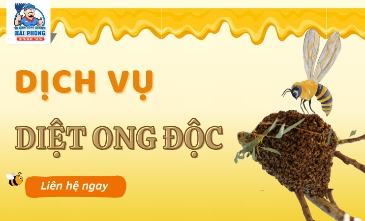 Dich-vu-diet-ong-doc