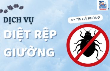 Dich-vu-diet-rep-giuong