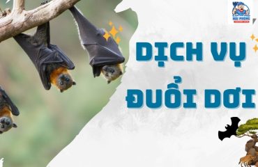 dich-vu-diet-doi-tai-Hai-Phong