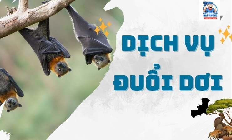 dich-vu-diet-doi-tai-Hai-Phong