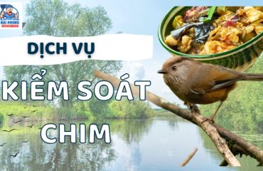Dich-vu-kiem-soat-chim
