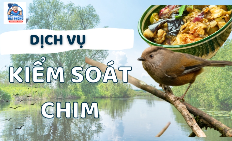 Dich-vu-kiem-soat-chim