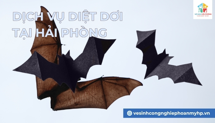 dich-vu-diet-doi-tai-Hai-Phong