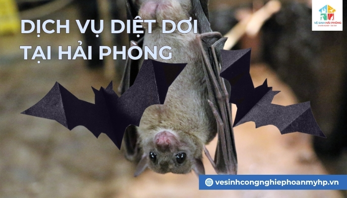 dich-vu-diet-doi-tai-Hai-Phong