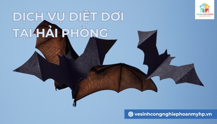 dich-vu-diet-doi-tai-Hai-Phong