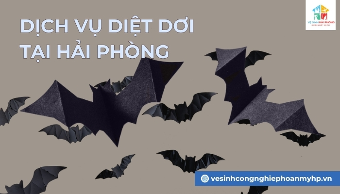 dich-vu-diet-doi-tai-Hai-Phong