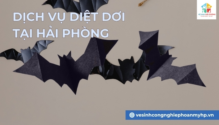 dich-vu-diet-doi-tai-Hai-Phong