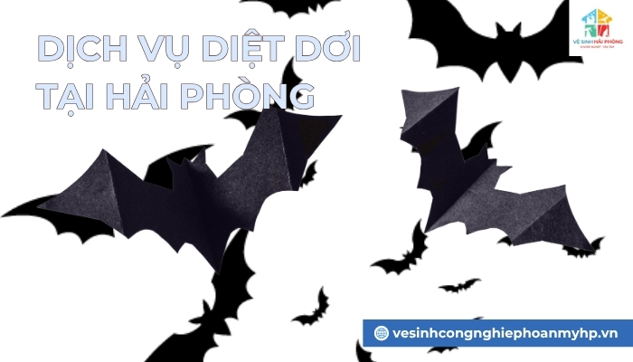 dich-vu-diet-doi-tai-Hai-Phong