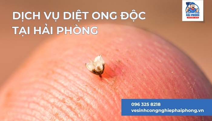Dich-vu-diet-ong-doc