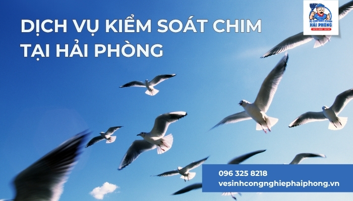 Dich-vu-kiem-soat-chim