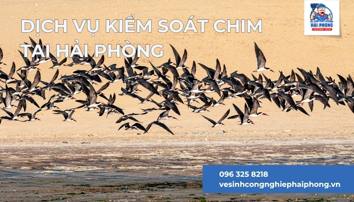 Dich-vu-kiem-soat-chim