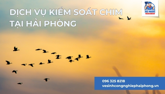 Dich-vu-kiem-soat-chim