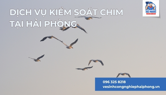 Dich-vu-kiem-soat-chim