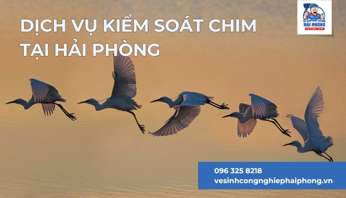 Dich-vu-kiem-soat-chim