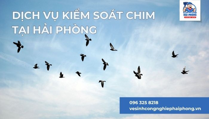 Dich-vu-kiem-soat-chim